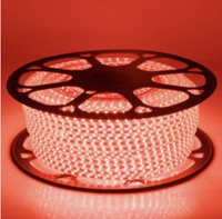 LED Strip Light 100M – 220V Red Flexible Waterproof Rope Light with Adaptor
