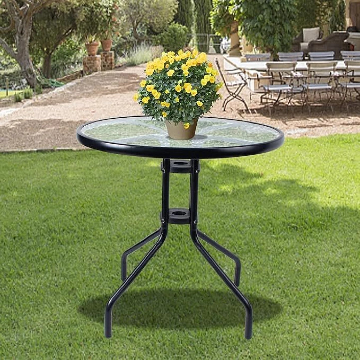 Tempered Glass Top Graphite Table