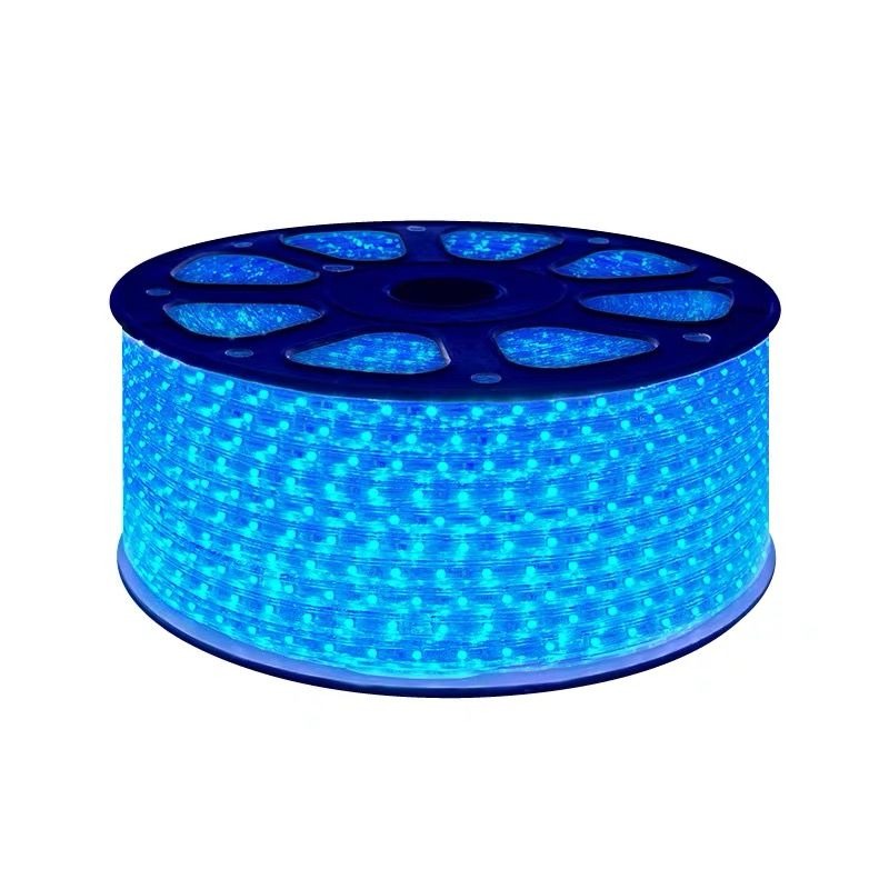 LED Strip Light 100M – 220V Blue Flexible Waterproof Rope Light